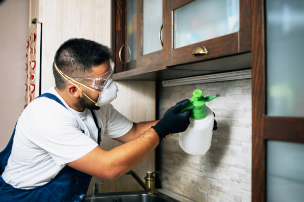 Best Insect Control  in Scott Af, IL