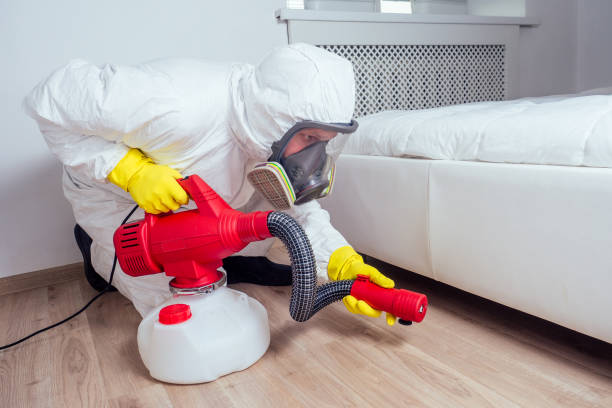 Best Pest Inspection Near Me  in Scott Af, IL